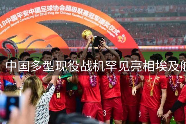 中国多型现役战机罕见亮相埃及航展引关注